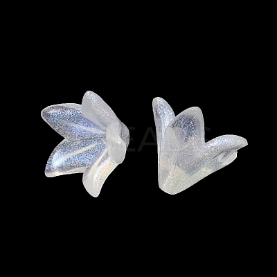 Transparent Acrylic Bead Caps OACR-A020-01-1