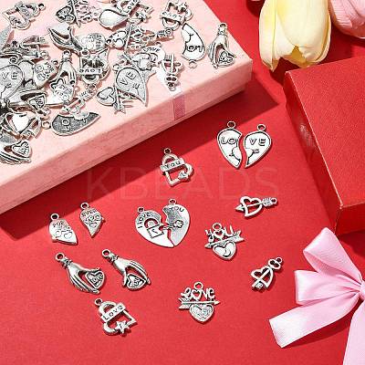 70Pcs 14 Styles Tibetan Style Alloy Pendants FIND-CJ0001-88-1