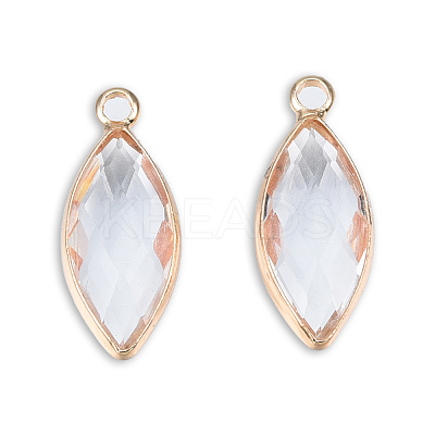 Transparent K9 Glass Pendants GLAA-N038-61-1