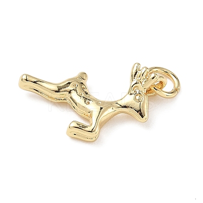 Brass Charms ZIRC-I356-04G-04-1
