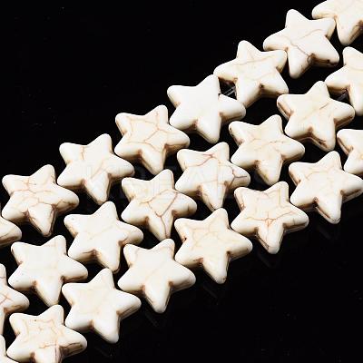 Gemstone Beads TURQ-S193-15x14mm-1-1