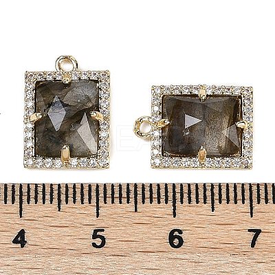 Natural Labradorite Faceted Rectangle Pendants G-I375-05G-01-1