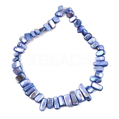 Natural Freshwater Shell Beads Strands SHEL-N026-123G-1