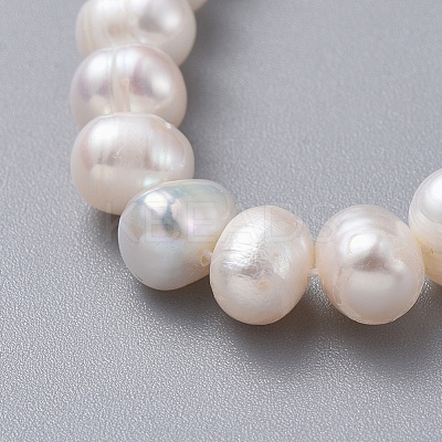 Natural Freshwater Pearl Necklaces NJEW-JN02513-1