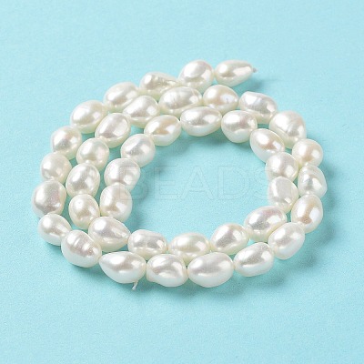 Natural Cultured Freshwater Pearl Beads Strands PEAR-Z002-21-1