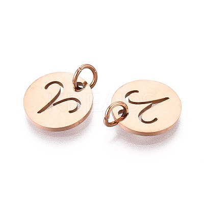 304 Stainless Steel Charms STAS-Q201-T445-1R-1