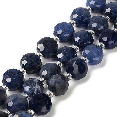 Natural Sodalite Beads Strands G-B153-B11-1