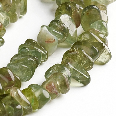 Natural Green Apatite Chips Beads Strands X-G-D0002-A13-1