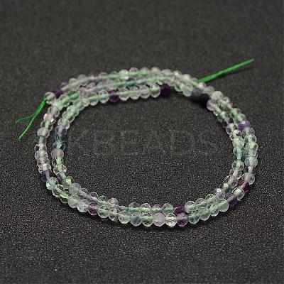 Natural Fluorite Beads Strands G-F460-16-1