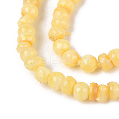 Natural Freshwater Shell Dyed Beads Strands SHEL-T020-29A-08-1