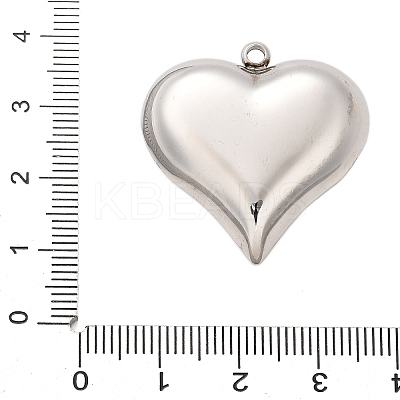 304 Stainless Steel Pendants STAS-Q349-02D-P-1