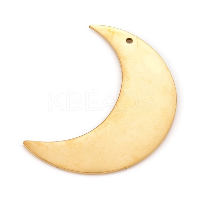 304 Stainless Steel Pendants STAS-L238-102A-G-1