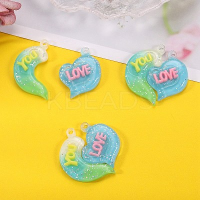 10 Sets Gradient Color Opaque Resin Pendants RESI-SZ0001-91E-1