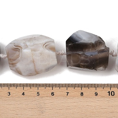 Raw Rough Natural Botswana Agate Beads Strands G-S396-04A-1