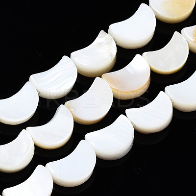 Natural Freshwater Shell Beads Strands X-SHEL-N026-151-1