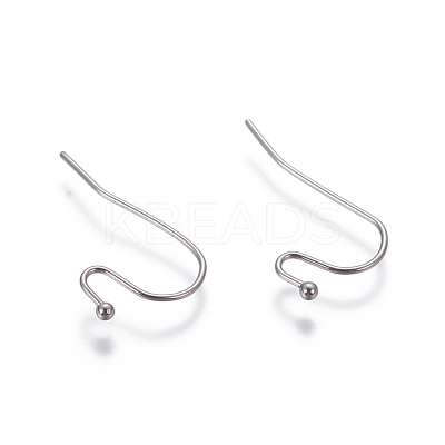 Tarnish Resistant 304 Stainless Steel Earring Hooks STAS-G190-08P-1