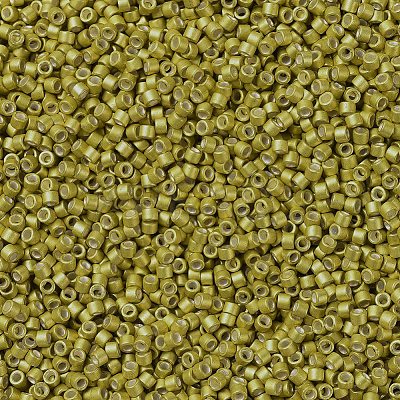MIYUKI Delica Beads X-SEED-J020-DB1154-1