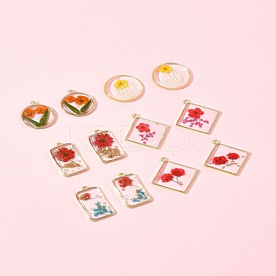 12Pcs 6 Styles Transparent Clear Epoxy Resin Pendants RESI-FS0001-88A-1