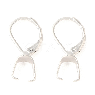 Ion Plating(IP)  304 Stainless Steel Leverback Earring Findings STAS-U025-01S-02-1