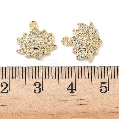 Brass Micro Pave Cubic Zirconia Charms X1-KK-C099-09G-1
