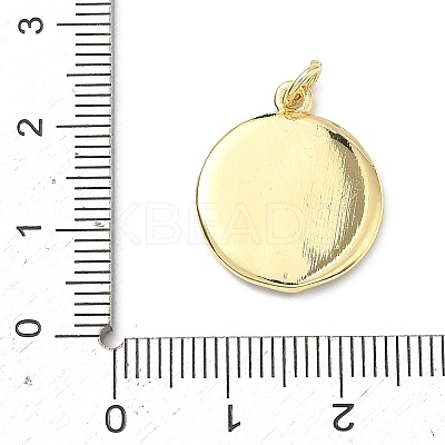 Brass Enamel Pendants KK-H255-05G-01-1