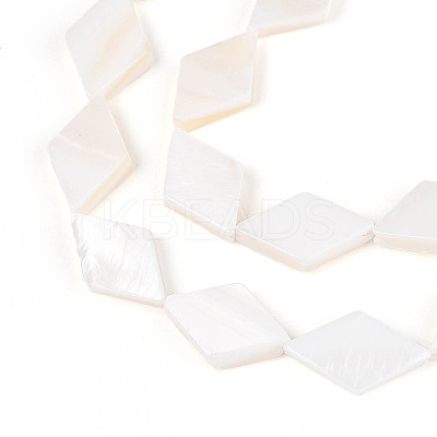 Natural Freshwater Shell Beads Strands SHEL-T020-13H-1