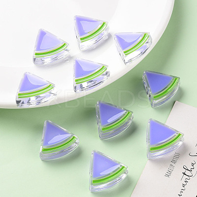 Transparent Enamel Acrylic Beads LS-TACR-S155-001J-1
