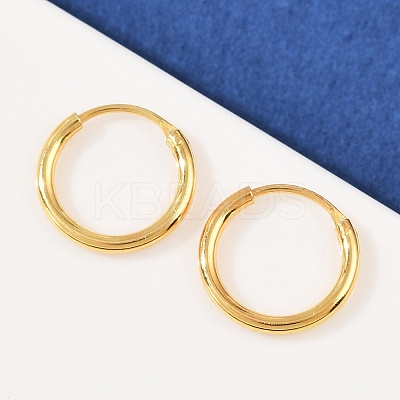925 Sterling Silver Hoop Earrings STER-B008-01A-G-1