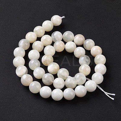 Natural White Moonstone Beads Strands G-F674-08-10mm-01-1