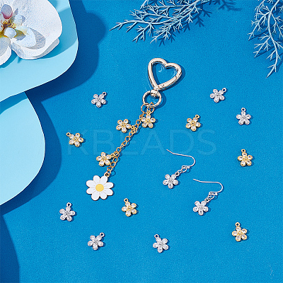 20Pcs 2 Colors Brass with Cubic Zirconia Charms KK-PH0012-42-1