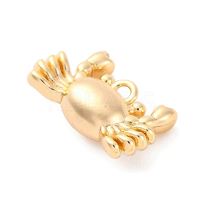 Brass Pendants KK-E793-26G-1