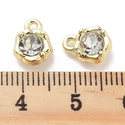 Rack Plating Alloy Rhinestone Charms PALLOY-F311-17G-01-1