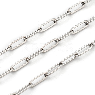Non-Tarnish 3.28 Feet 304 Stainless Steel Paperclip Chains X-STAS-H111-04P-B-1