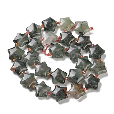 Natural African Bloodstone Beads Strands G-NH0005-003-1