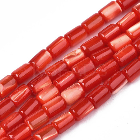 Natural Trochid Shell/Trochus Shell Beads Strands SHEL-N003-26-B03-1