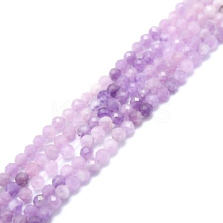 Natural Lepidolite/Purple Mica Stone Beads Strands G-P457-A02-01-1