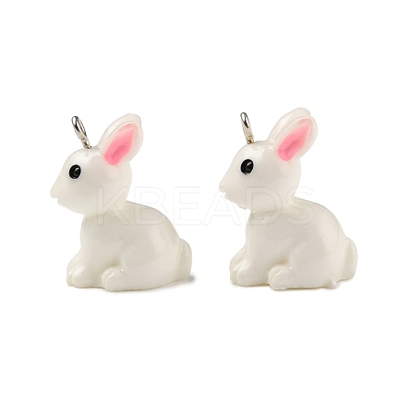 Resin Pendants X-RESI-S356-53-1