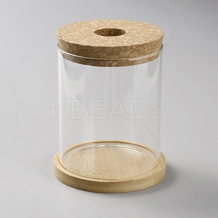 Column Glass Hydroponics Plants Pot Flower Bottle Tube Vase AJEW-WH0541-11B-1