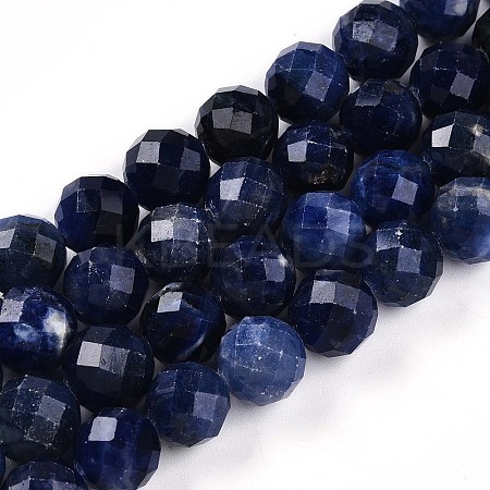 Natural Sodalite Beads Strands G-S345-10mm-26-1