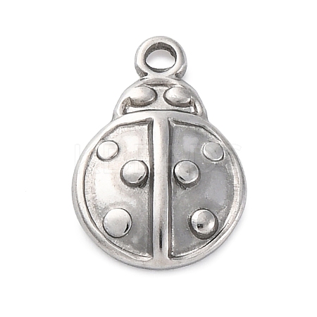 304 Stainless Steel Charms STAS-G354-01A-P-1