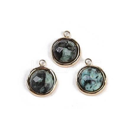 Natural African Turquoise(Jasper) Faceted Flat Round Charms STAS-I325-147G-01-1