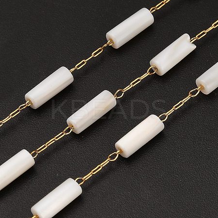 Handmade 304 Stainless Steel Shell Beads Column Link Chains CHS-B011-06G-1