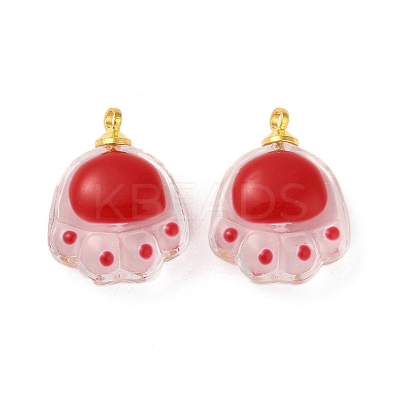 Transparent Resin Pendants FIND-R147-02G-1
