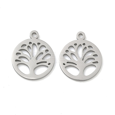304 Stainless Steel Charms STAS-P433-05P-1