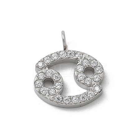 304 Stainless Steel Micro Pave Cubic Zirconia Charms STAS-Z107-09P-04-1