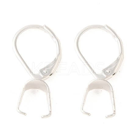 Ion Plating(IP)  304 Stainless Steel Leverback Earring Findings STAS-U025-01S-02-1