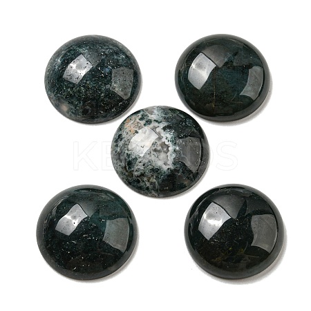 Natural Moss Agate Cabochons G-C115-02A-46-1