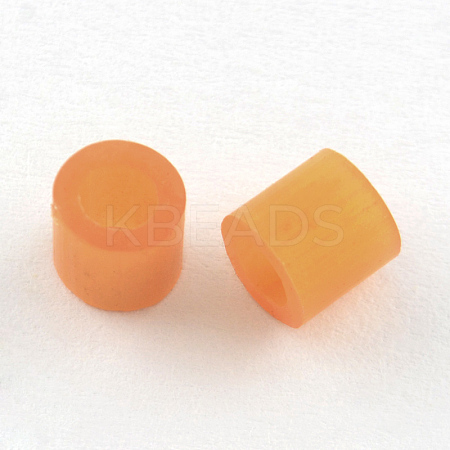 Maxi Fuse Beads DIY-R013-10mm-A55-1