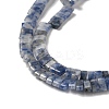 Natural Blue Spot Jasper Beads Strands G-Z045-A08-01-4