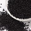 6/0 Glass Seed Beads SEED-J014-F6-49-1